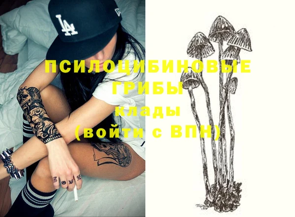 экстази Алексин