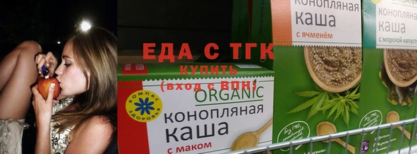 хмурый Алексеевка