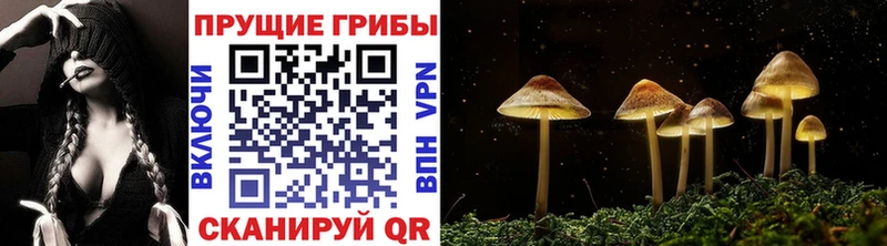 Галлюциногенные грибы мицелий Снежногорск